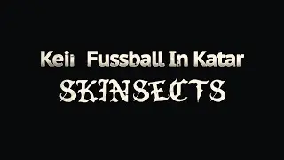 Skinsects - Kein Fussball In Katar (new song)