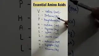 What are Essential amino acids?#essentialaminoacids #neet