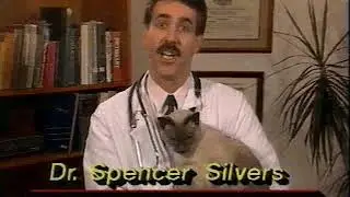 Pet Trainer Commercial