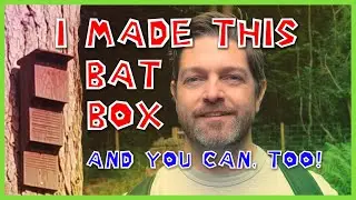 How I Made a BAT BOX