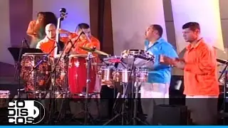 Patacon Pisa'o, King Bongo - En Vivo