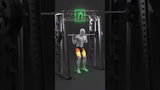Smith Machine Squat PERFECT FORM: Build HUGE Quads & Glutes! (Animated Guide) #youtubeshorts