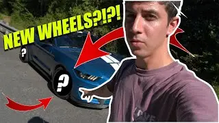 SHELBY GT350 GETS NEW WHEELS!