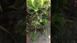 my home tour full video may comment kar dungi aap log dekho