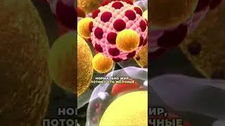 Шок! Это началась из-за печени и густой желчи