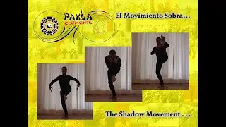 Pakua Elements Corto Nr 17. El Movimiento Sombra / The Shadow Movement