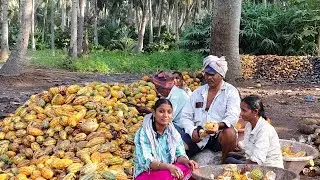 Coco choklet secrets MAA media9.