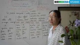 Bài 64: Sử dụng một số động từ ở thì quá khứ kép - Le passé composé (suite)