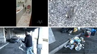 Nel Bronx al San Paolo, degrado totale sotto i portici. Residenti fuori di testa: 