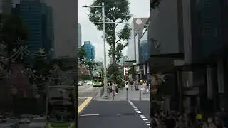 Singapore High Street !! | 4K