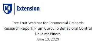 Tree Fruit Webinar: Behavioral Controls for Plum Curculio