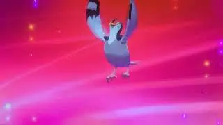 Pidove evolution Pokemon sword and shield