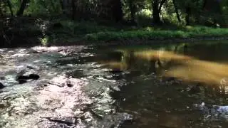 Crayfish creek hi def