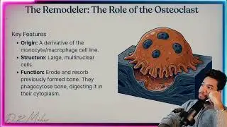 bone physiology