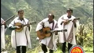LOS HNOS LOPEZ FELIX Saucecito verde (Toril Antabamba)