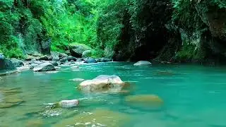 Tranquil Water Sounds for Relaxation 💦 Peaceful Ambience for Stress & Anxiety Relief
