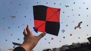 Flying 4 Big Gudda Patang Catch Vs abubakar Makarsankranti  | Makarsankranti Day Kite #kiteflying 
