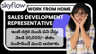 Skyflow SDR Job | Sales Development Representative | B2B Tech Sales | Work From Home Opportunity