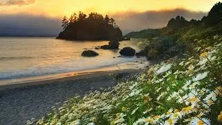 Music by Sri Chinmoy, Mountain-Silence Group.