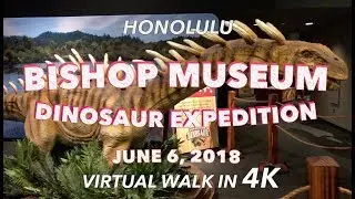 Bishop Museum Dinosaurs 6/6/2018 [4K]