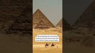 Experience the magic of Egypt with our Cairo & Luxor Tours! 🏺✨