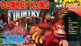 (SNES) Donkey Kong Country 101% Complete Playthrough (All Bonus Levels)