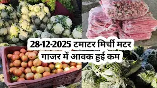 28-12-2025 टमाटर मिर्ची मटर गाजर में आवक हुई कम | Ajmer sabji mandi bhav |