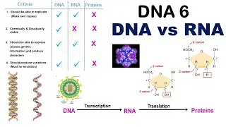Why DNA is Better than RNA ? | RNA vs DNA | Criteria for Genetic Material | Dr Ghanshyam Jangid