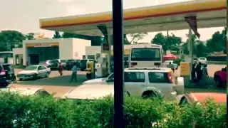 Shell Gas, Brining On The Good Times - Cocktails In The Wild Edition