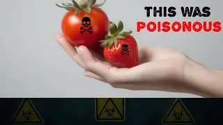 The Great Food Misconception: New 10 Edible Delights That Were Once Feared as Poison