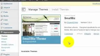 Changing WordPress Theme | SmallBiz Full Width Theme | Divas Mobile Solutions