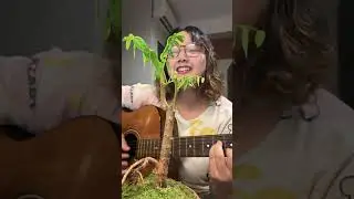 ห้องสี่มุมซ้าย - Palmy | cover by Maparang