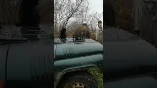 Залезают через форточку в машину))) #лесной #дача #cat
