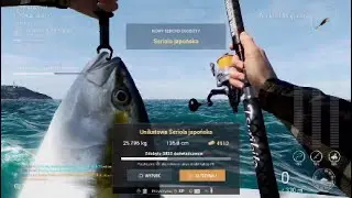Unikatowa Seriola Japońska - Kaiji No Ri Japonia - Fishing Planet