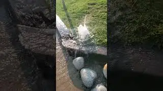 Finding a broken sprinkler head!