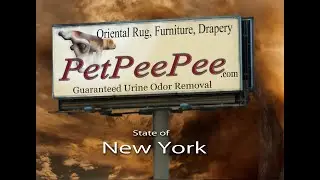 State of New York Oriental Rug Cleaning from Urine Odor | PetPeePee&reg;
