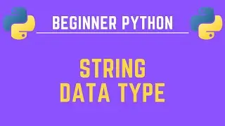 String Data Type in Python - Beginner Python - Programming Tutorial
