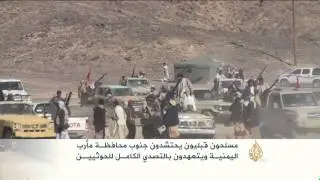 مسلحون قبليون يحتشدون جنوب مأرب للتصدي للحوثيين