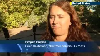 World's largest pumpkin: Record-breaking pumpkin arrives in New York in time for Halloween