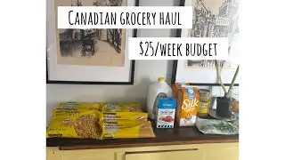 Everything we bought this week for $25, staying on budget for low spend January