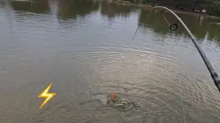 Yorba Regional Park Trout Fishing