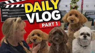 Daily dog grooming vlog part 1 - 12th Jan 2026