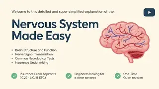 🧠 Nervous System Disorders Part 2 &ndash; IC 22 | Hindi-English | Insurance Medical Underwriting Made Easy
