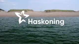Werken bij onze afdeling Biodiversiteit & Natuurlijke Systemen | Haskoning