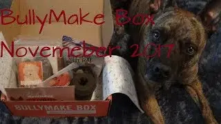 BullyMake Box Unboxing November 2017