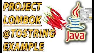 Project Lombok ToString Example (Part 4)