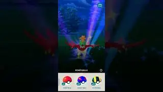 NEW DEBUT HAWLUCHA IN POKEMON GO #pokemenia #pokemon #pokemongo #rarepokemon #hawlucha