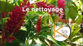 Nettoyage - biOrb tube 30L