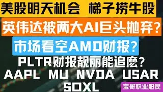 英伟达被两大AI巨头抛弃? 市场看空AMD财报? PLTR财报靓丽能追麽? AAPL MU NVDA USAR SOXL！02022026 #美股 #股票 #美股分析 #投資