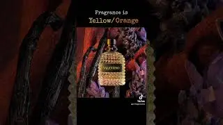 What Colour?👇 #perfume #fragrance #colognes #cologne #colour #perfumer #best #fragrances #trending